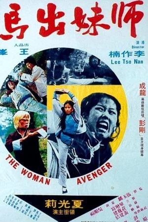Постер: Woman Avenger