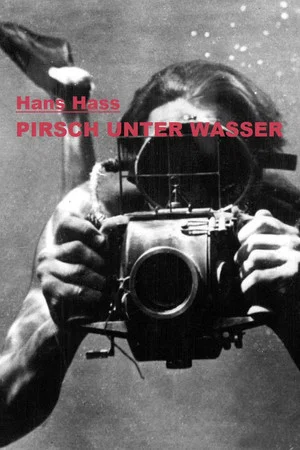 Постер: Pirsch unter Wasser