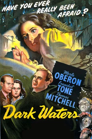 Постер: Dark Waters