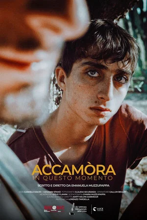 Постер: Accamòra (Right Now)