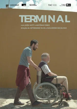 Постер: Terminal