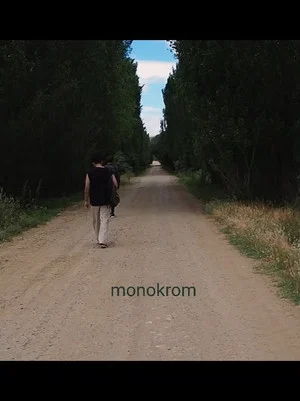 Постер: Monokrom