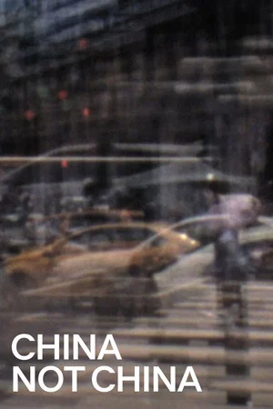 Постер: China Not China