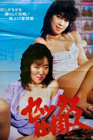 Постер: Sex Fixer