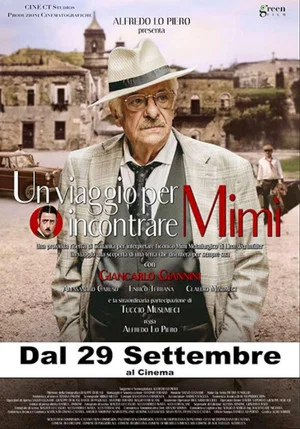 Постер: Un viaggio per incontrare Mimì