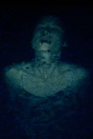 Постер: Nightswimming