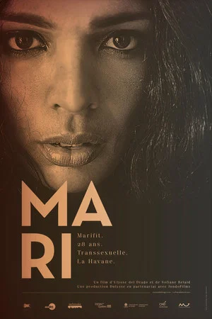 Постер: Mari