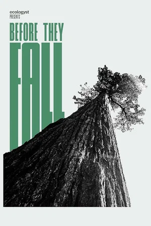 Постер: Before They Fall