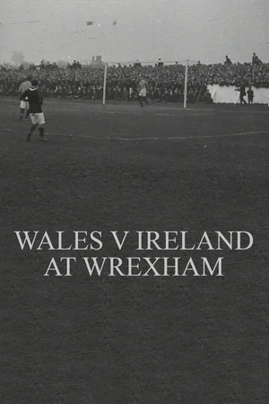 Постер: Wales v. Ireland at Wrexham
