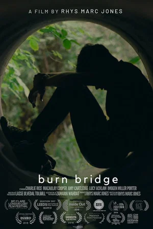 Постер: Burn Bridge
