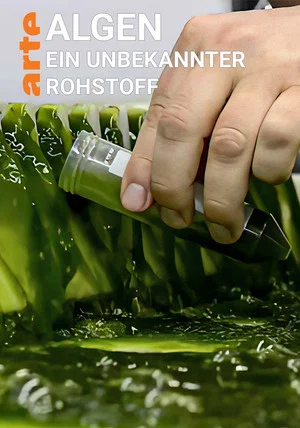 Постер: Algen: Ein unbekannter Rohstoff