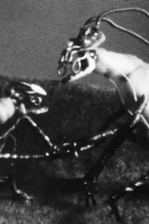 Постер: The Space Insect