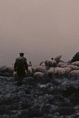 Постер: Orgosolo’s Shepherds