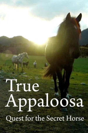 Постер: True Appaloosa