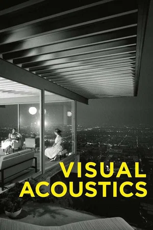 Постер: Visual Acoustics