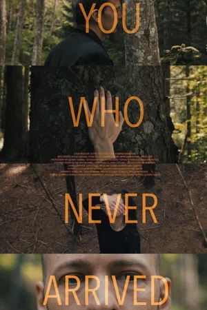 Постер: You Who Never Arrived