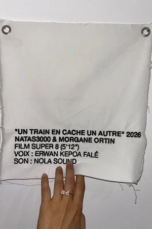 Постер: Un Train en cache un autre