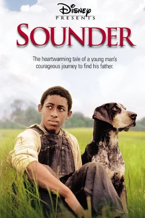 Постер: Sounder