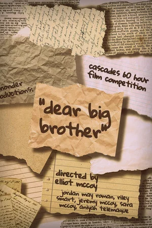 Постер: Dear Big Brother
