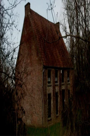 Постер: From Vincent's House in the Borinage