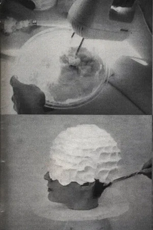 Постер: Icing