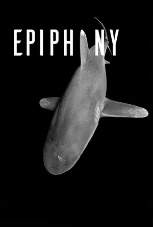 Постер: Epiphany