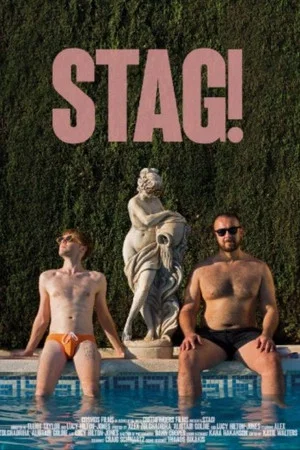 Постер: Stag!