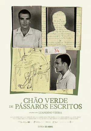 Постер: Chão Verde de Pássaros Escritos
