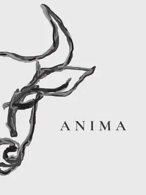 Постер: ANIMA