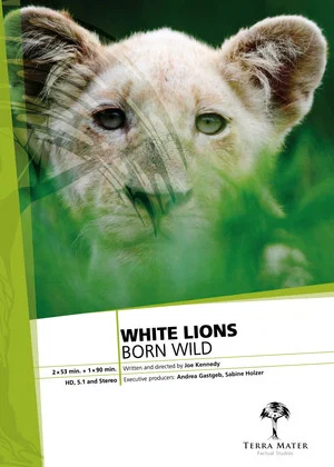 Постер: White Lions Born Wild