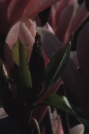 Постер: that what moves: fingerinesses