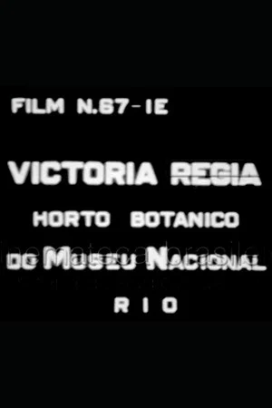 Постер: Victória Régia: Horto Botânico do Museu Nacional