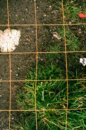 Постер: Fieldwalk