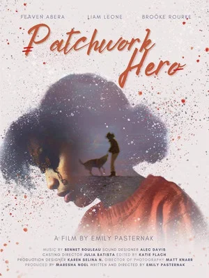 Постер: Patchwork Hero