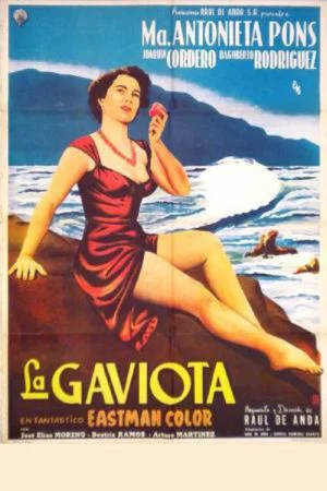 Постер: La gaviota