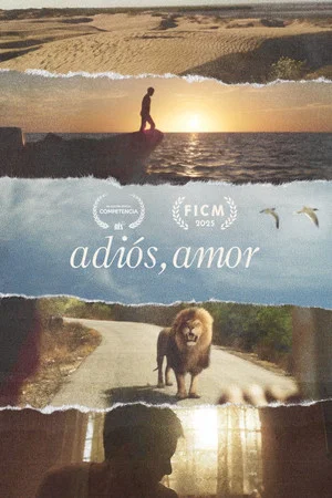 Постер: Goodbye, Love