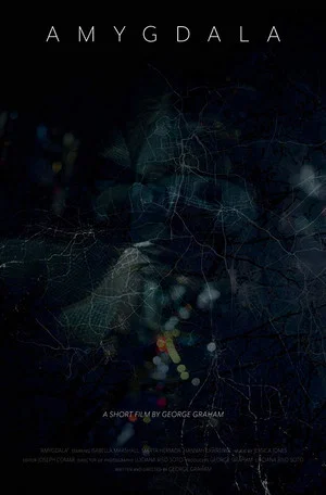 Постер: Amygdala