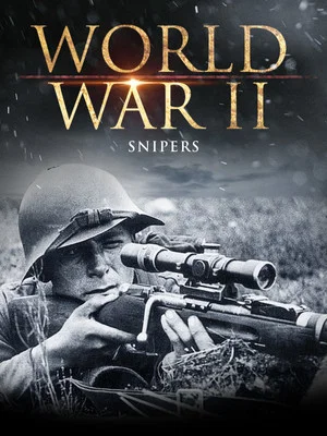 Постер: World War II: Snipers