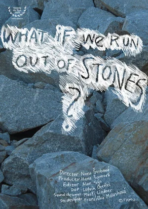 Постер: What If We Run Out of Stones?