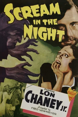 Постер: A Scream in the Night