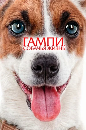 Постер: Гампи. Собачья жизнь