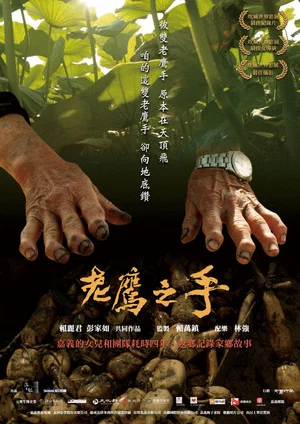 Постер: Eagle Hand