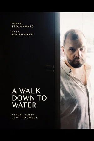 Постер: A Walk Down to Water