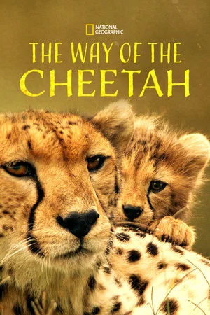 Постер: The Way of the Cheetah