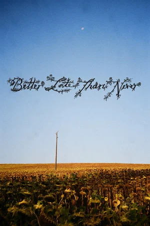 Постер: Better Late Than Never