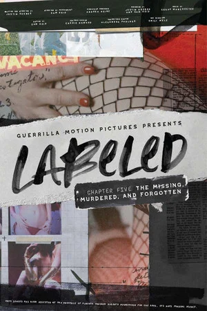 Постер: Labeled: The Missing, Murdered, and Forgotten