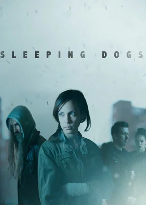 Постер: Sleeping Dogs