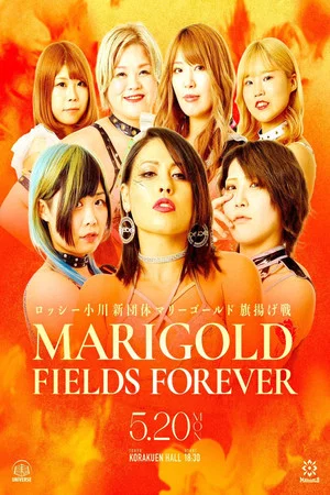 Постер: Marigold Fields Forever