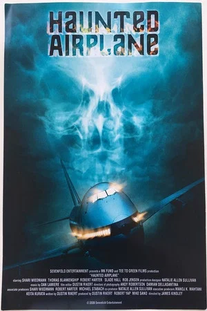 Постер: Haunted Airplane