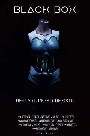 Постер: Black Box